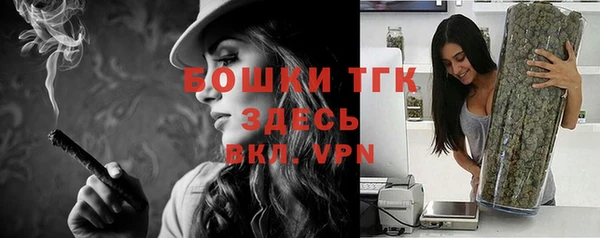дживик Переславль-Залесский