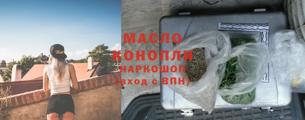 бошки Пересвет