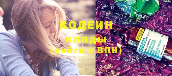 дживик Переславль-Залесский