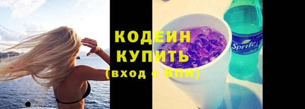 бошки Пересвет