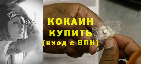 дживик Переславль-Залесский