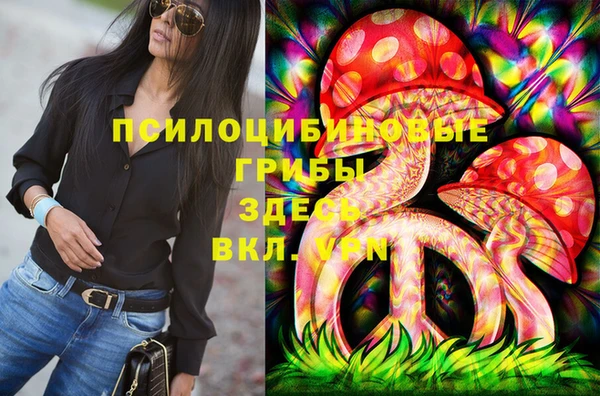 дживик Переславль-Залесский