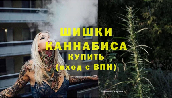 бошки Пересвет