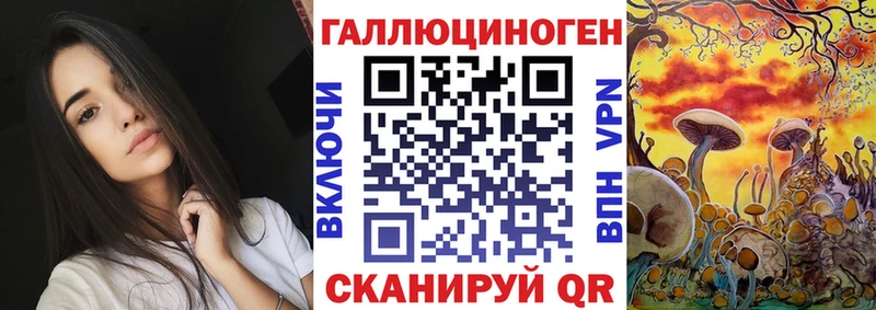 Галлюциногенные грибы Psilocybe Балабаново
