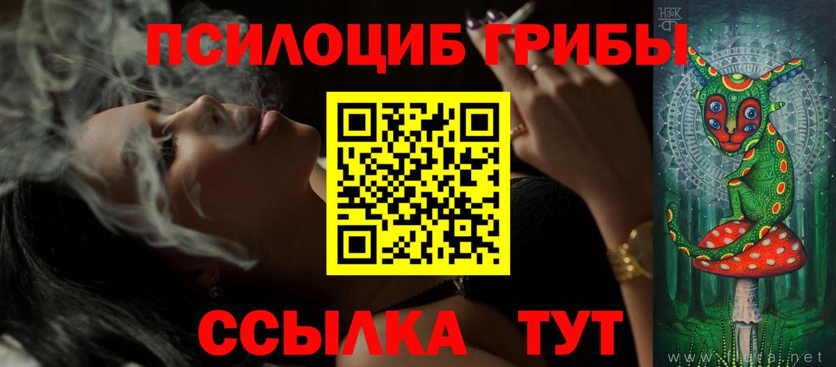Балабаново  Псилоцибиновые грибы Psilocybine cubensis  Вход с VPN 